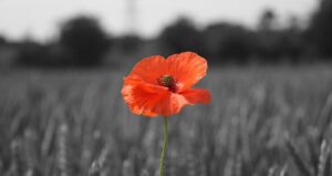 Remembrance Day Act of Remembrance